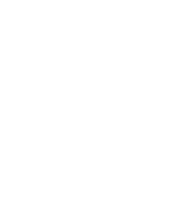 Le Plat Du Jour